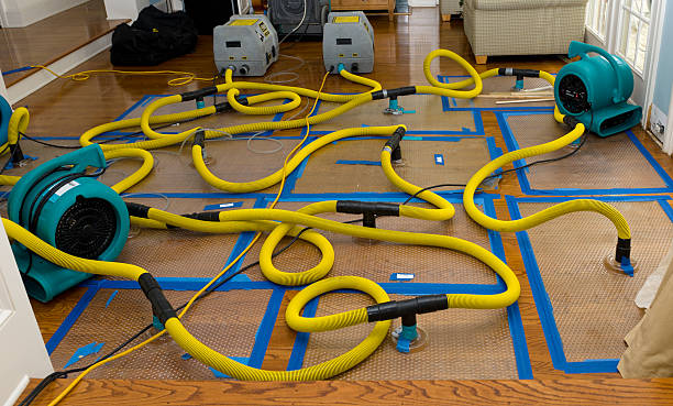 Professional Burst Pipe Water Damage technician working in Ridgefield, NJ